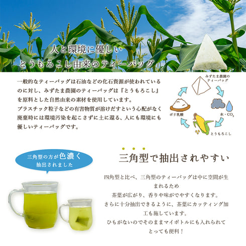 静岡茶 水出し専用深蒸し茶 5g×20p